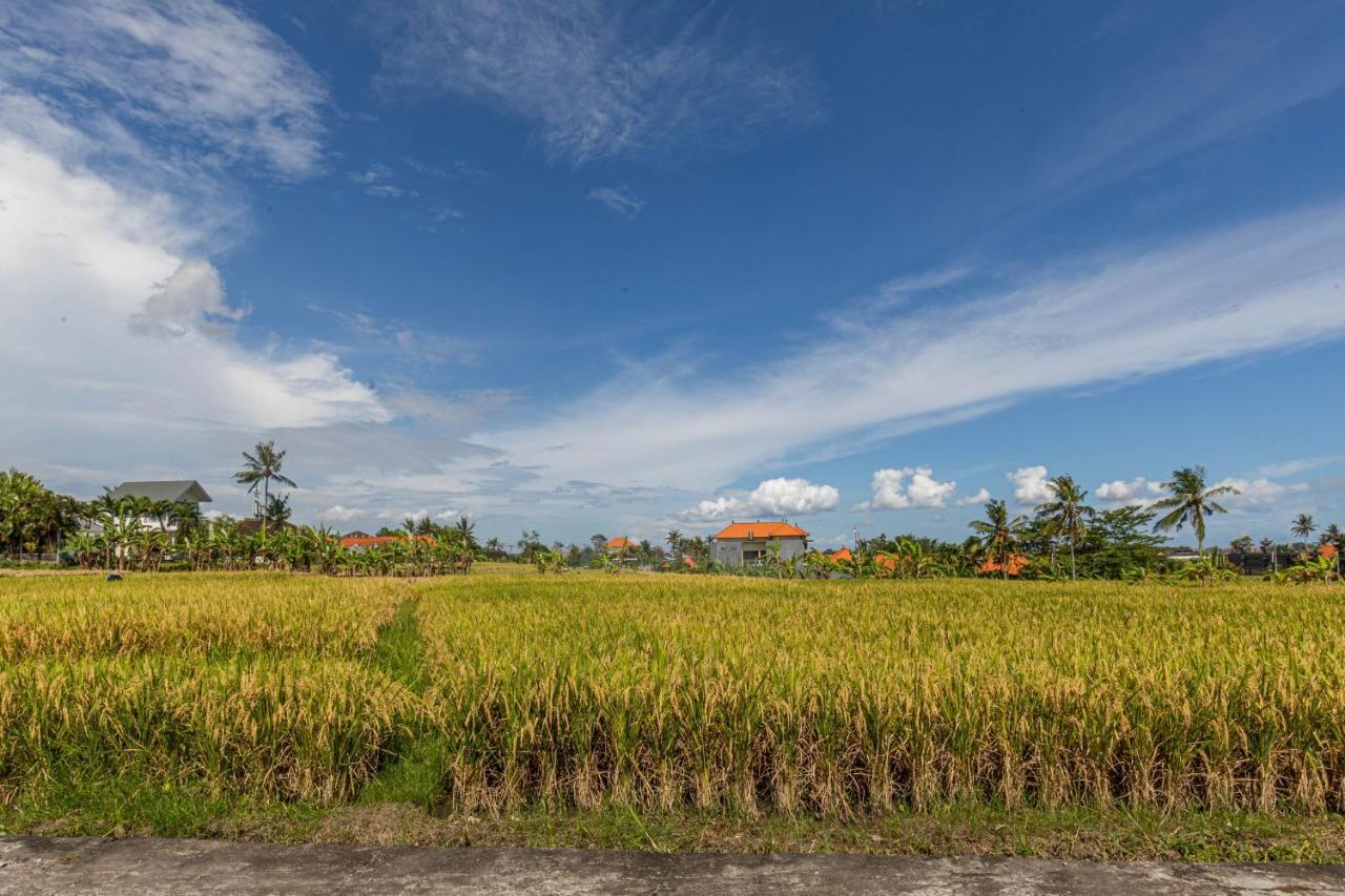 D'Jineng Rice Terrace Canggu Exterior foto